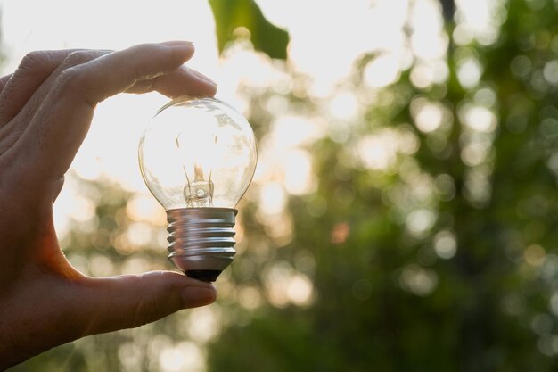 Foto close-up di una persona che tiene una lampadina contro gli alberi