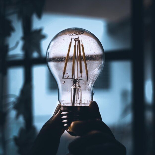 Close-up of person holding light bulb