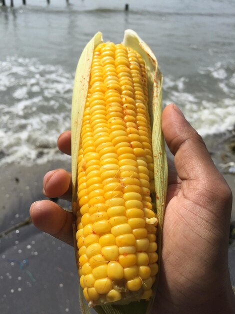 Close-up of person holding yellow food