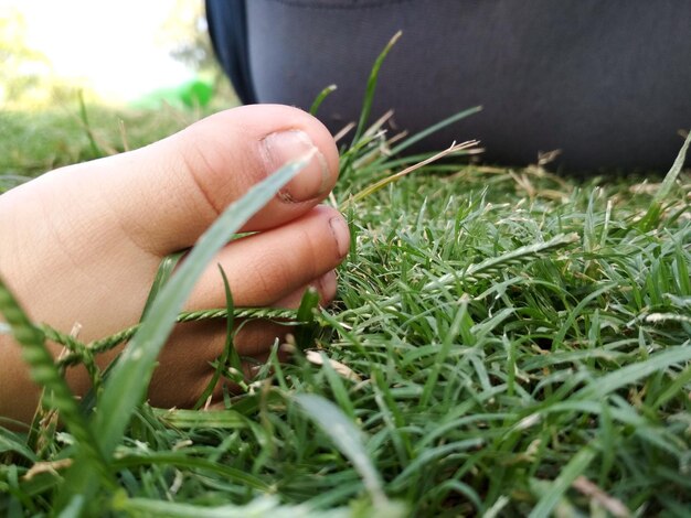 Photo close-up of person leg on grass