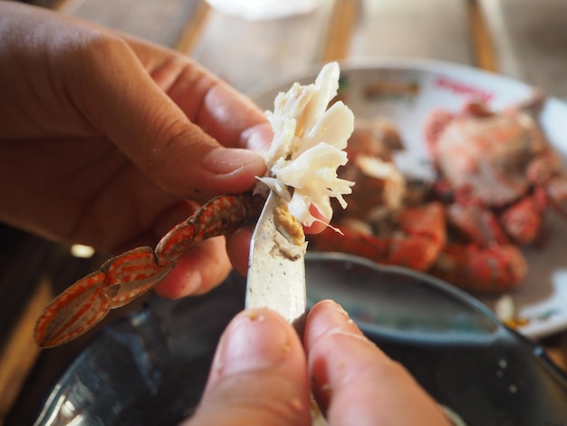 Photo close-up of person preparing food