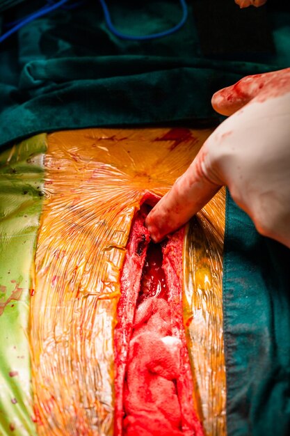 Photo close-up of person preparing food