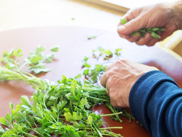 Photo close-up of person preparing food