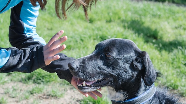 Close-up of person with dog