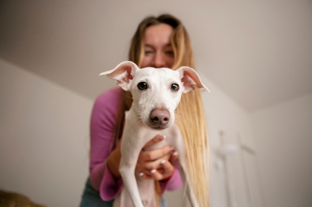 Foto primo piano sullo stile di vita degli animali domestici