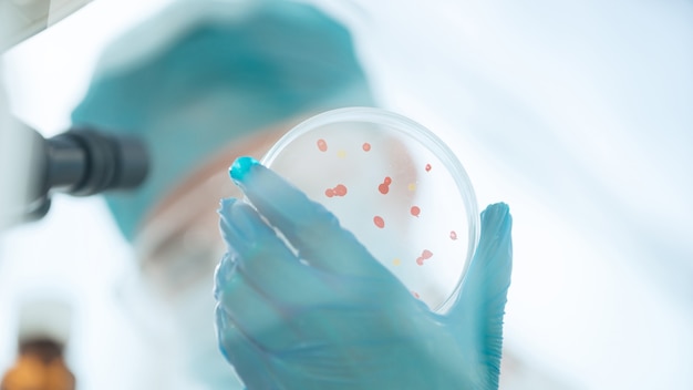 Close up. a Petri dish with viral cells in the hands of a microbiologist.