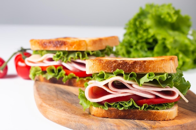Close-up photo of an American club sandwich. Fast food concept.