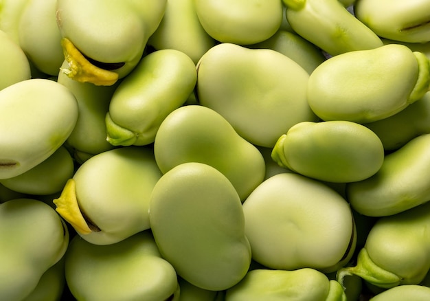 close up photo of broad bean