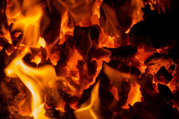 Close up photo of firewood in bonfire