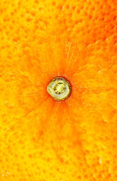 Close up foto della buccia di pompelmo texture. sfondo di frutta esotica matura, vista macro. concetto di problema della pelle umana, acne e cellulite. bella carta da parati della natura.