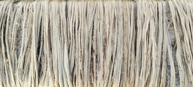 a close up photo of jute fiber Closeup raw jute fiber hanging under the sun for natural drying