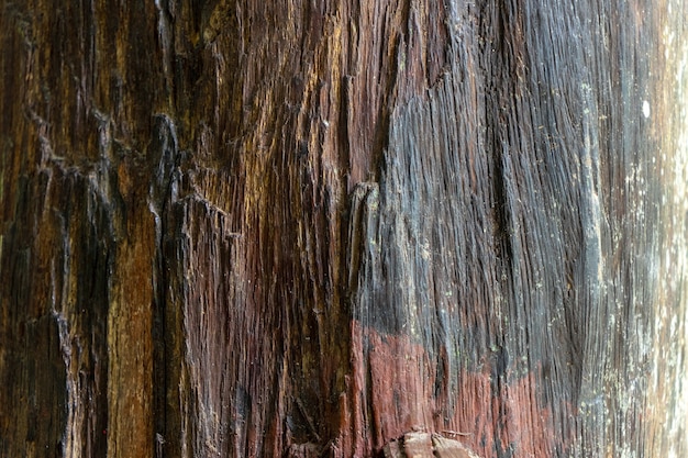 Close up photo of old red wooden texture for use as a background.