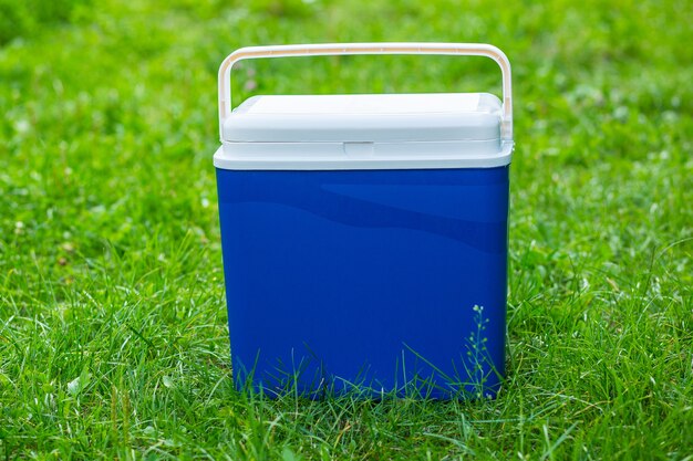 Close-up photo of a refrigerator bag on the grass