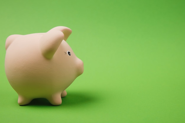 Close up photo side view of pink piggy money bank isolated on bright green wall background. Money accumulation investment, banking or business services, wealth concept. Copy space advertising mock up.