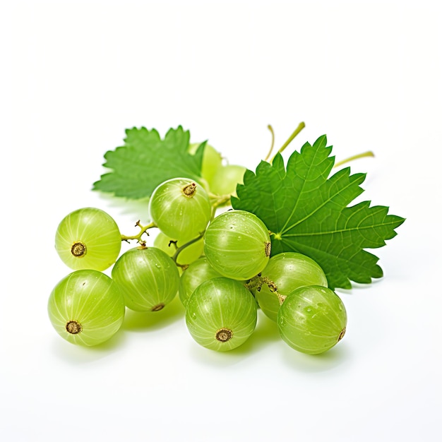 Close up photograph green Currant with leaf isolated on white