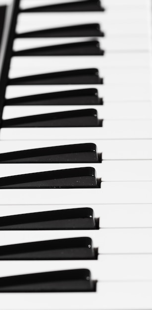 Close-up of piano keyboard