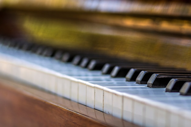 Primo piano dei tasti del pianoforte. chiudere la vista frontale.