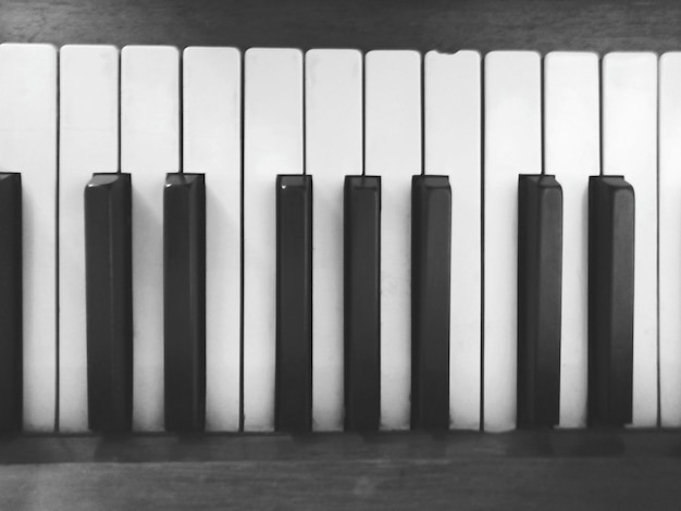 Foto prossimo piano dei tasti del pianoforte