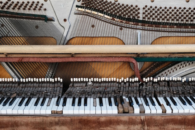 Foto prossimo piano dei tasti del pianoforte