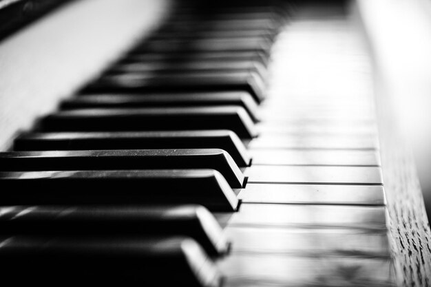 Foto prossimo piano dei tasti del pianoforte.