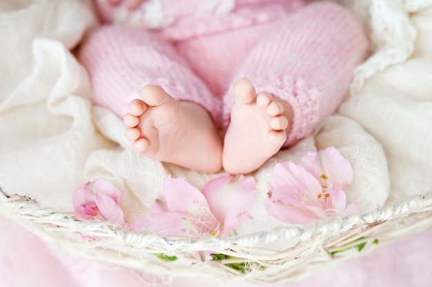 Photo close up picture of new born baby feet on knitted plaid and flowers