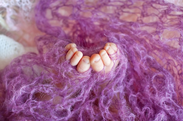 Close up picture of newborn baby feet in knitted plaid