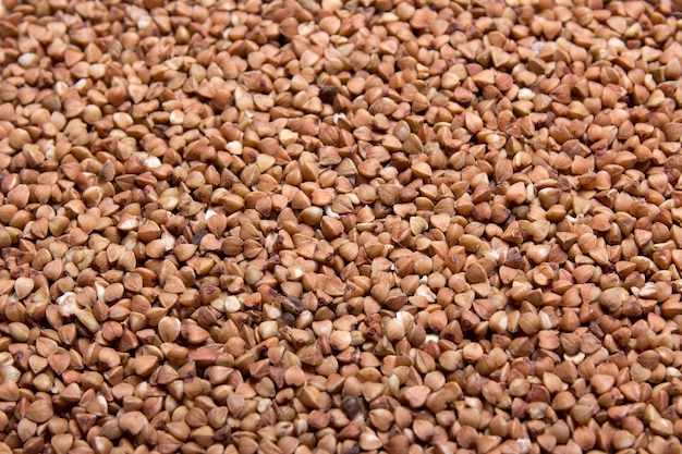 Close up picture of raw buckwheat grains