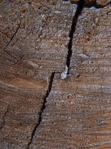 A close up of a piece of wood with a crack in it.