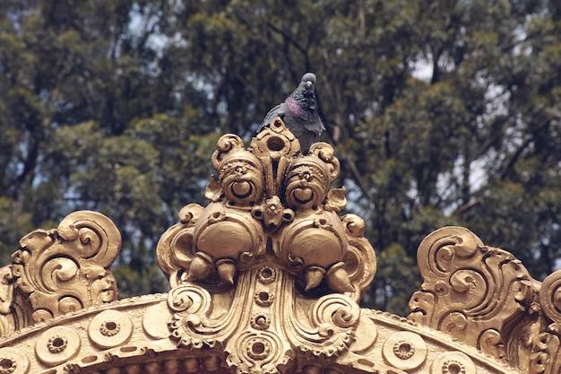 Foto close-up di un piccione appoggiato su una statua fuori dal tempio