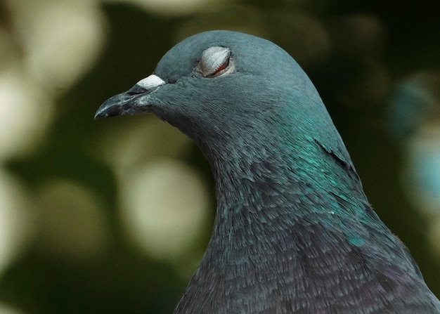 のクローズアップ