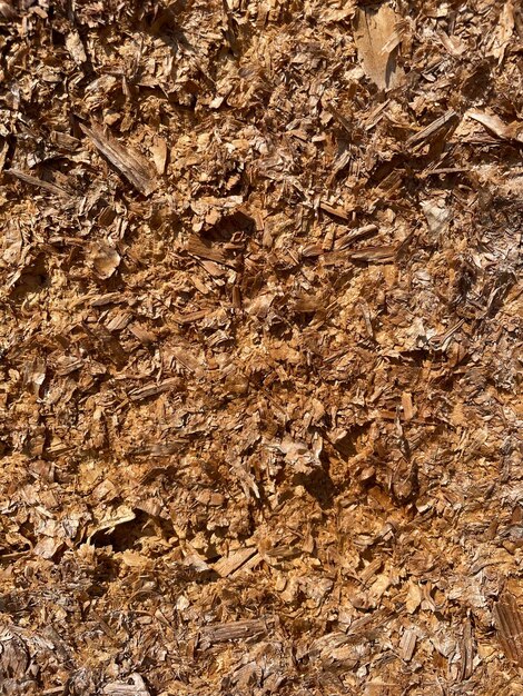 A close up of a pile of brown soil with the word'organic'on it