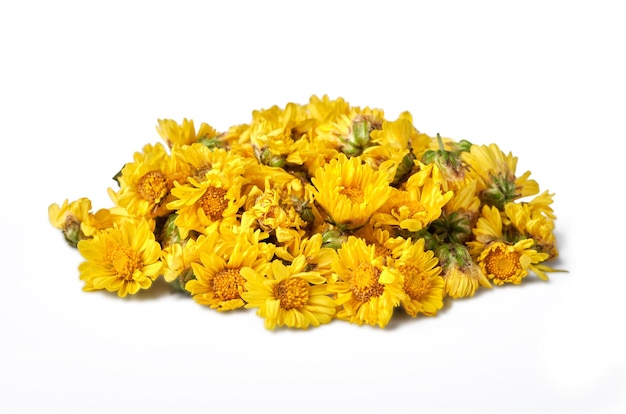 close-up of a pile of dried chrysanthemum flowers isolated on white background