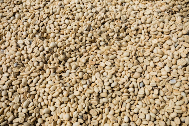 a close up of a pile of lentils