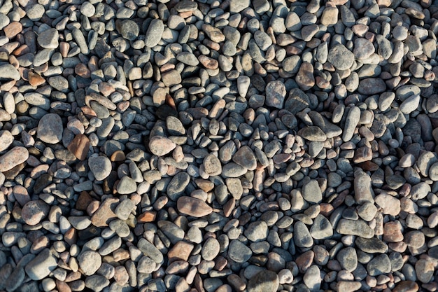 A close up of a pile of pebbles including one that has a small number of small stones.