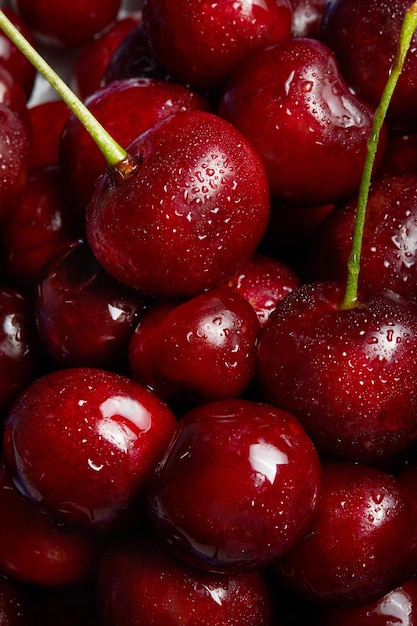 Close up of pile of ripe cherries with stalks fresh red cherries Ripe cherries background