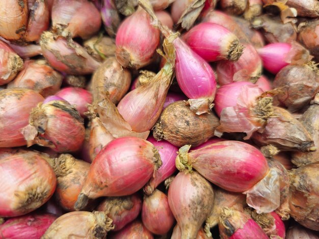 Close up pile of ripe shallots asia red onion Bawang merah Sumenep
