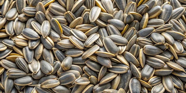 a close up of a pile of sunflower seeds