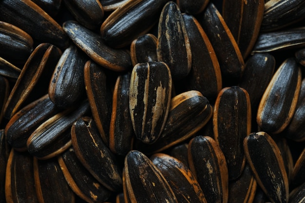 A close up of a pile of sunflower seeds