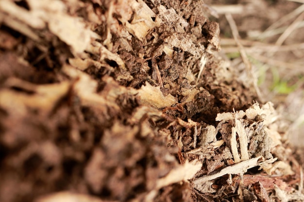 Photo a close up of a pile of wood chips with a leaf on it.