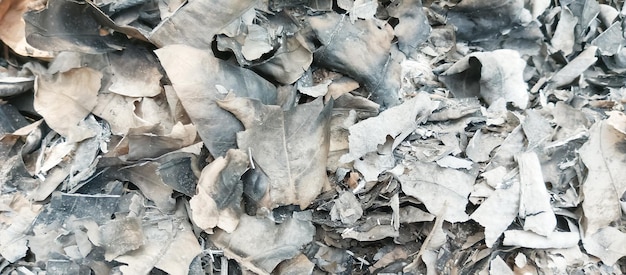 a close up of a pile of wood with a white piece of paper with a black background