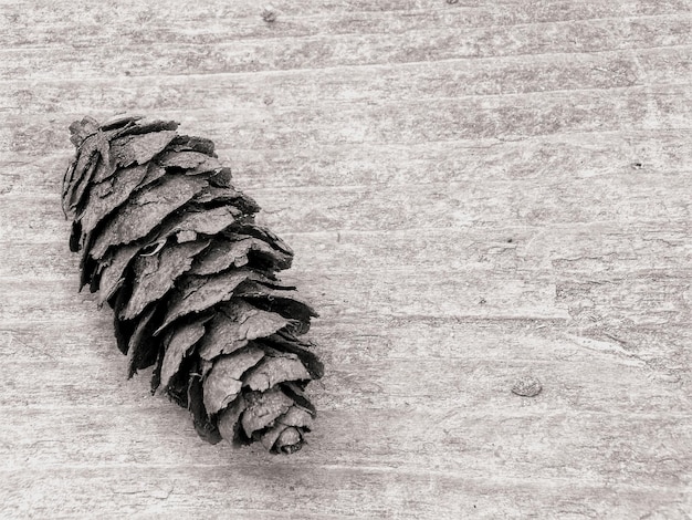 Photo close-up of pine cone on table