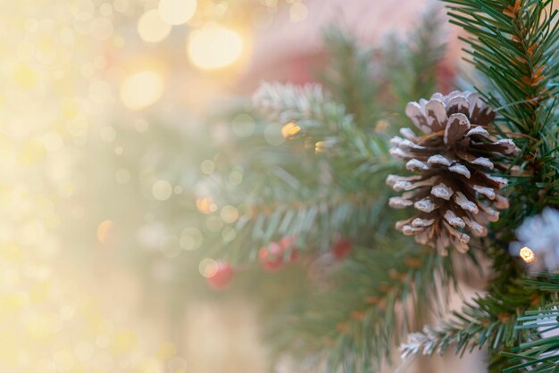 Photo close-up of pine cones on tree