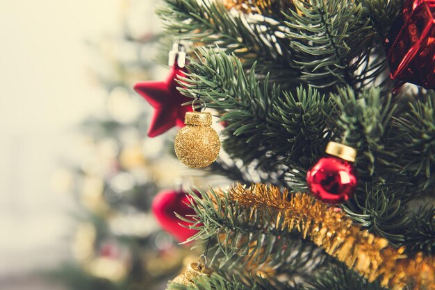 Close-up of pine cones on tree