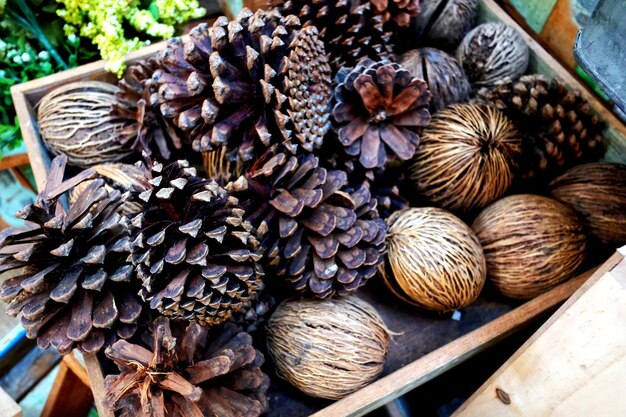 Photo close-up of pine nut on basket