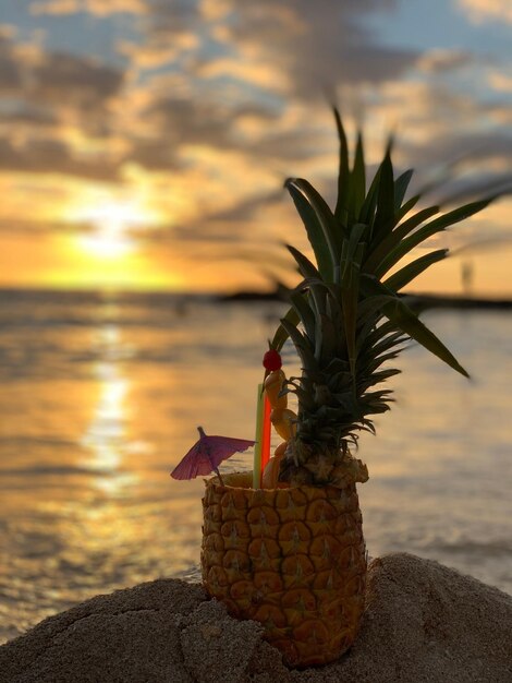 Photo close-up of pineapple on rock at beach against sky during sunset