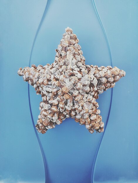 Close-up of pinecone star against blue background