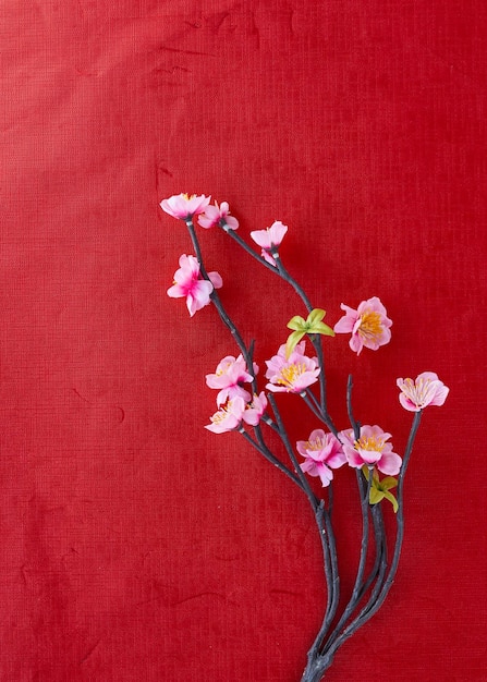 Foto prossimo piano del fiore di ciliegio rosa