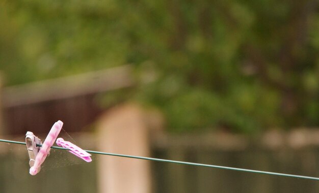 Close-up of pink and clothspin hanging on rope