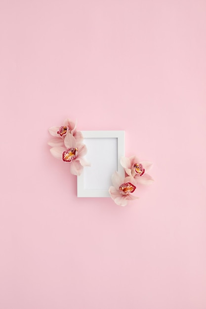 Photo close-up of pink flower against white background