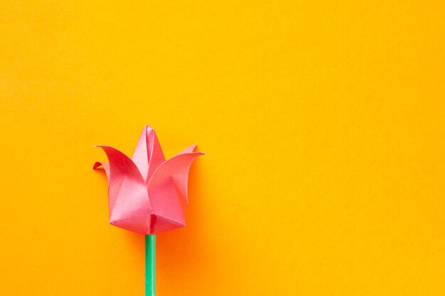 Foto close-up di un fiore rosa su uno sfondo giallo